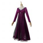 Elsa Cosplay Costume Adult Purple Dress