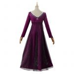 Elsa Cosplay Costume Adult Purple Dress