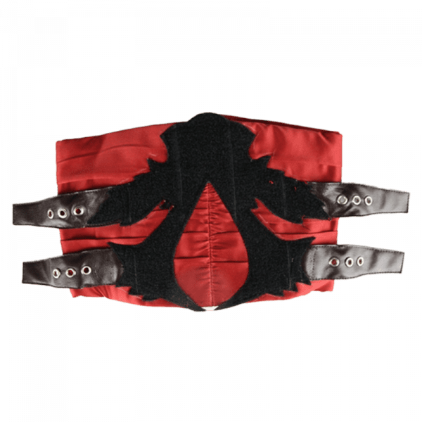 waist belt for ezio costume (2)