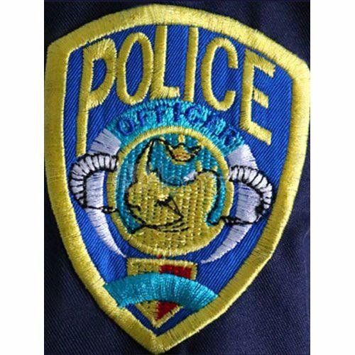 Custom Made Nick Wilde Judy Hopps Cosplay Costume with Bag (2)