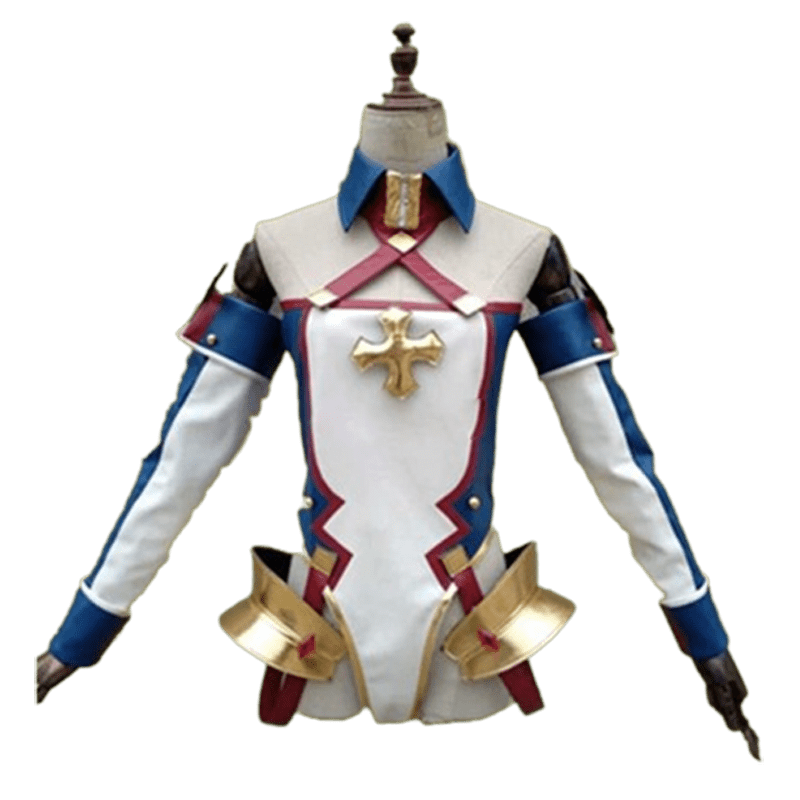 Custom Made FGO Bradamante Cosplay Costume (2)