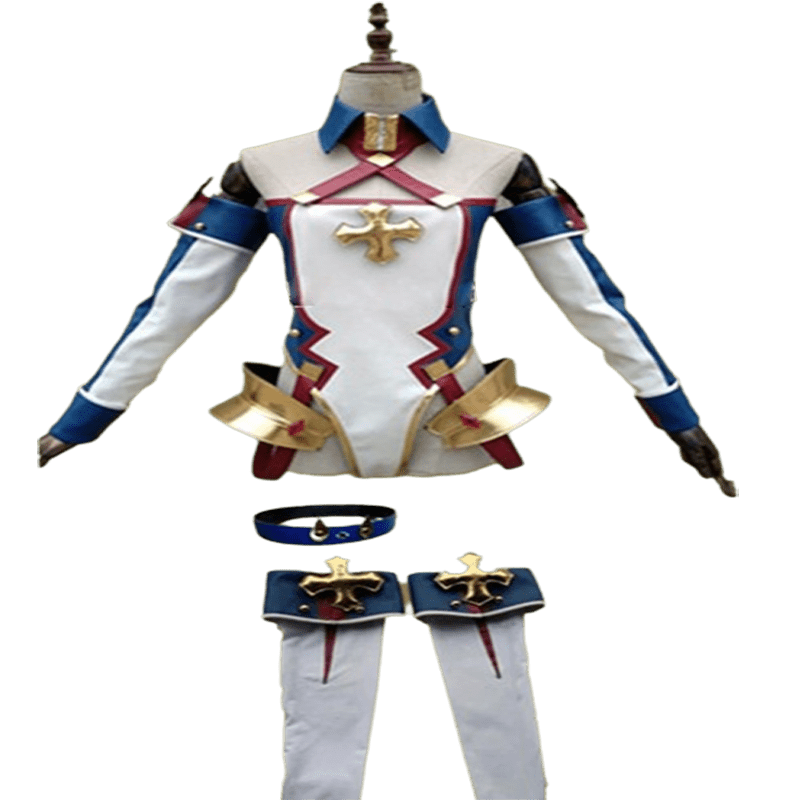 Custom Made FGO Bradamante Cosplay Costume (3)