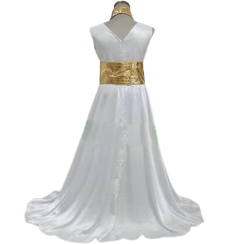 Saint Seiya Legend of Sanctuary Cosplay Costume Athena Cosplay Dress (4)