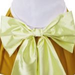 Sailor Moon Aino Minako Cosplay Dress (1)