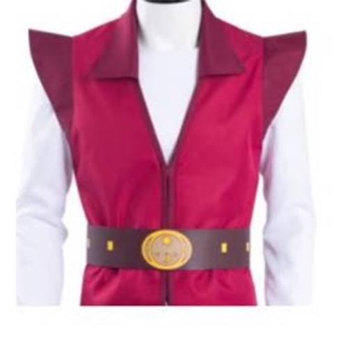 Prince Adam Cosplay Costume (3)
