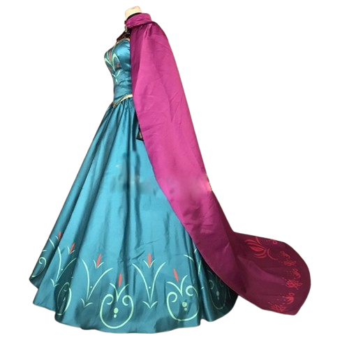 Frozen Elsa Dress Princess Queen Costume