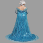 Frozen Elsa Snow Queen Princess Elsa Dress Costume (1)
