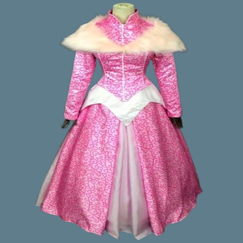 Princess Sleeping Beauty Aurora Winter Dress