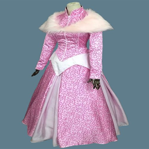 Princess Sleeping Beauty Aurora Winter Dress